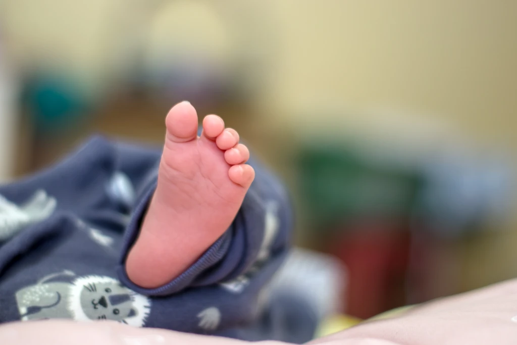 Close-up of a newborn baby's bare foot and toes emerging from a sleepsuit, the view a parent has when checking for a curved foot.