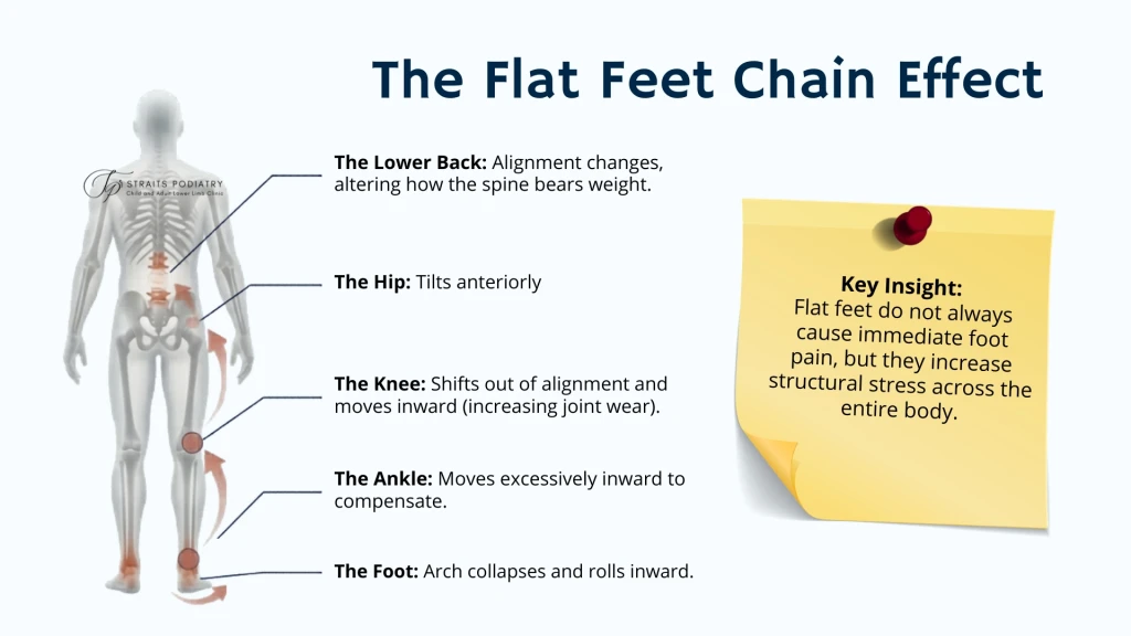 Infographic titled The Flat Feet Chain Effect showing how a collapsed arch rolls the ankle inward, shifts the knee inward, tilts the hip anteriorly, and alters lower-back alignment up a skeleton diagram
